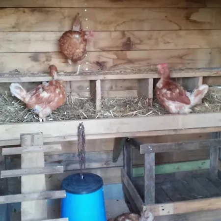 3 Etoiles - Piscine - Efaaea *